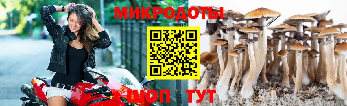 Псилоцибиновые грибы Magic Shrooms  купить  цена  Чистополь  Вход с VPN 